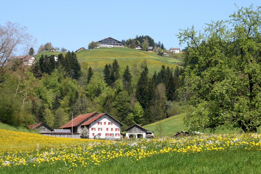 SulzbergVlbg0