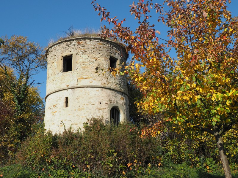 Türmle Untermberg 2015 (2)