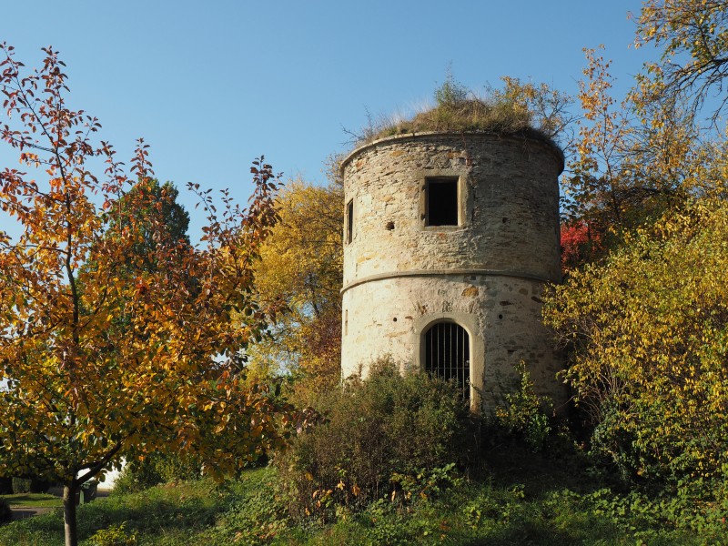 Türmle Untermberg 2015 (3)