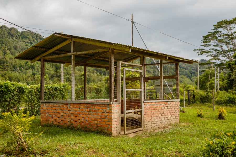 Tambunan Sabah Batu-Gong-02