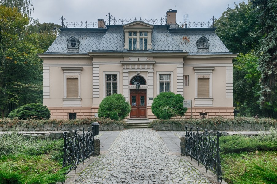 TDrZYRDittricha1 01