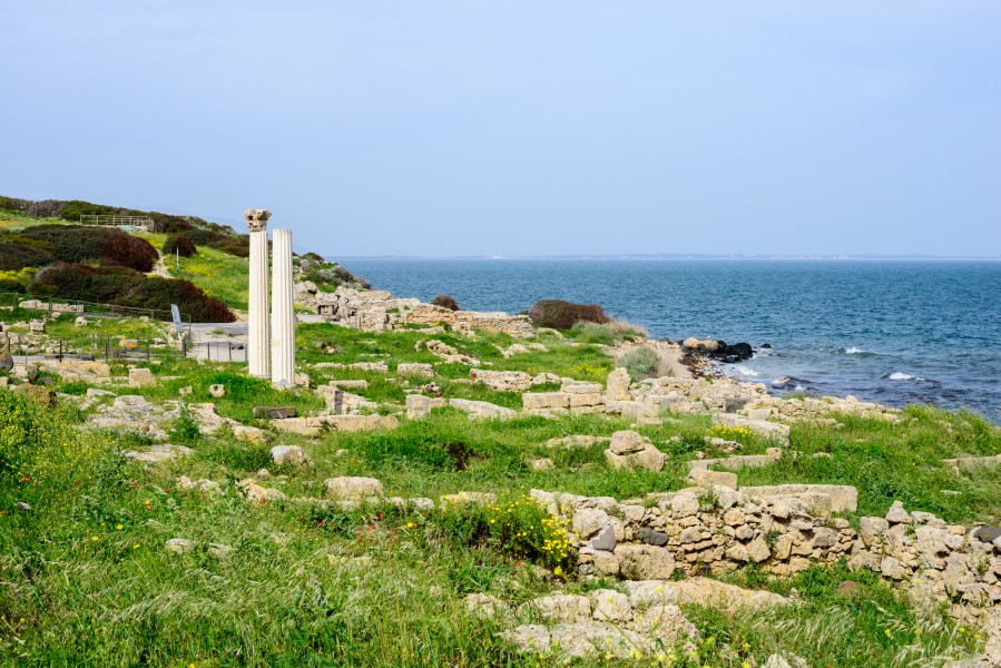 Tharros - Sardinia - Italy - 18
