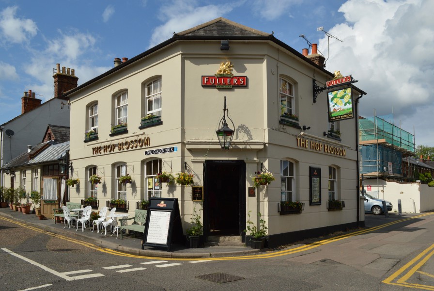 The Hop Blossom, Farnham
