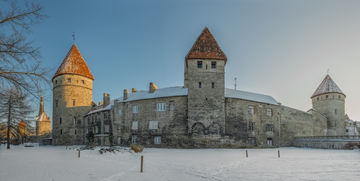 Tornide väljak 2014