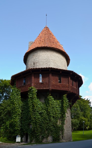 Torreón Kiiu, Parque Nacional Lahemaa, Estonia, 2012-08-12, DD 21