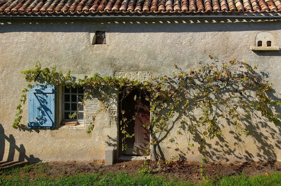 Torsac 16 Porte&treille 2008