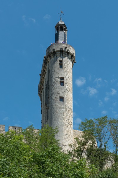 Tour de l'Horloge, Château de Chinon, South view 20170611 1