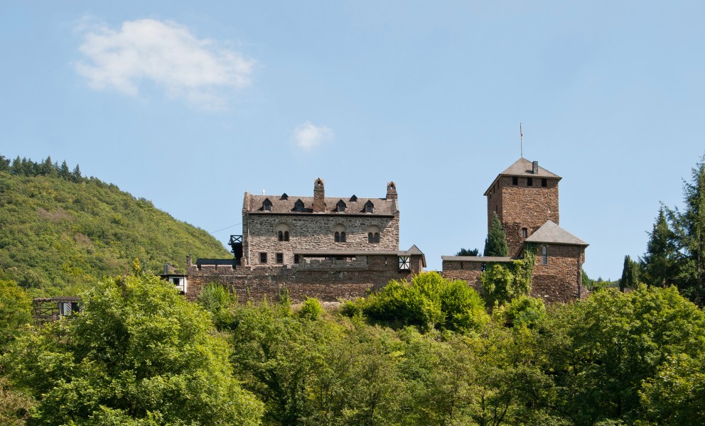 Treis-Karden, Wildburg, 2012-08 CN-01