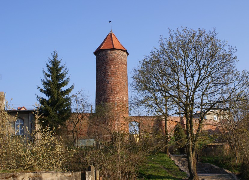 Trzebiatow Baszta Kaszana bulwark 2009-04