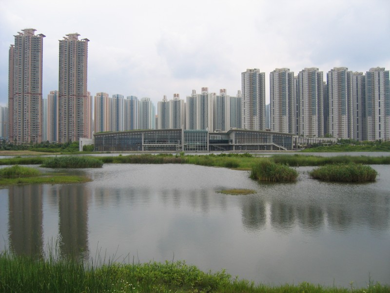 Tsw4