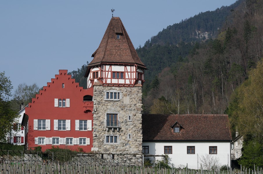 Vaduz - 31032014 - Rotehaus