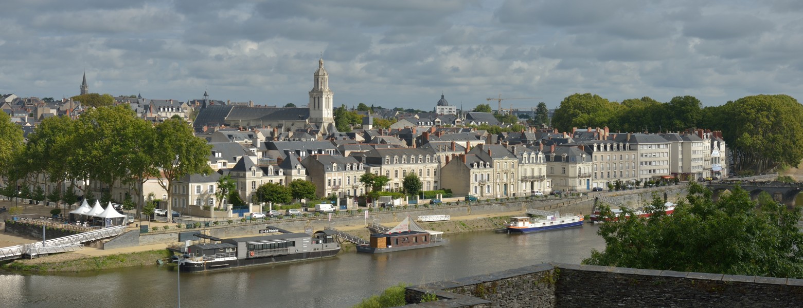 View of Angers on the Maine river from the castle