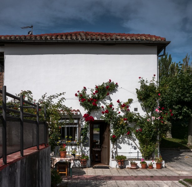 Vitoria - Armentia - Casa 02