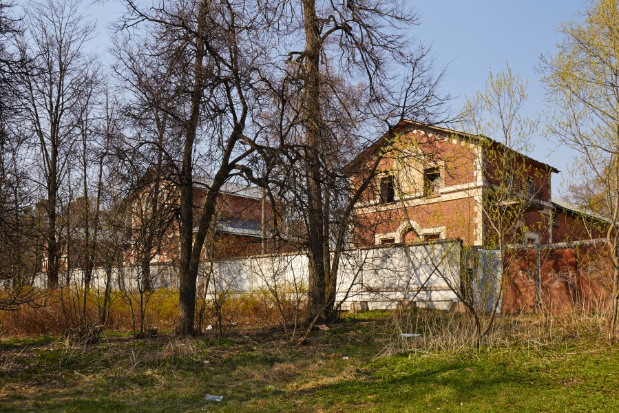 Vlakhernskoye-Kuzminki (07)