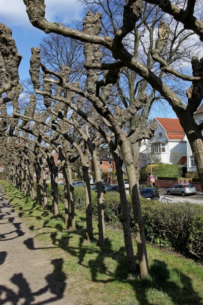 Wacholderpark Fuhlsbüttel 09