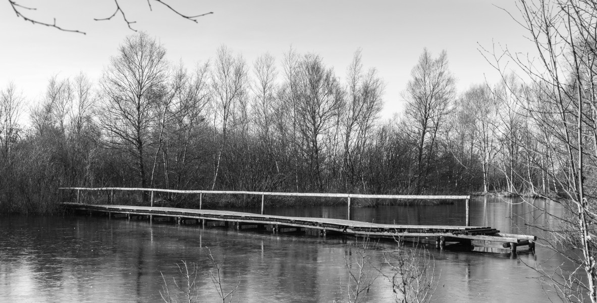 Wandelingen door de laagveenmoerassen De Deelen A 09