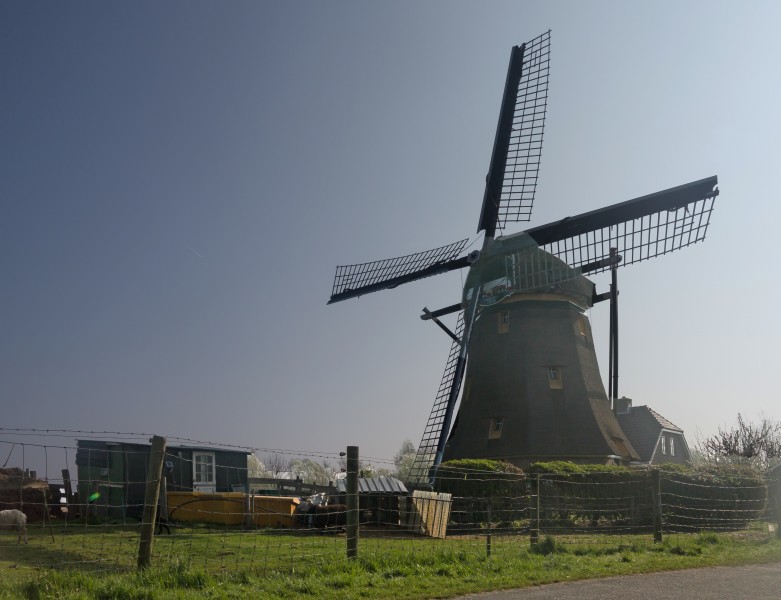 Warmond, de Broekdijkmolen foto7 2017-04-09 10.12