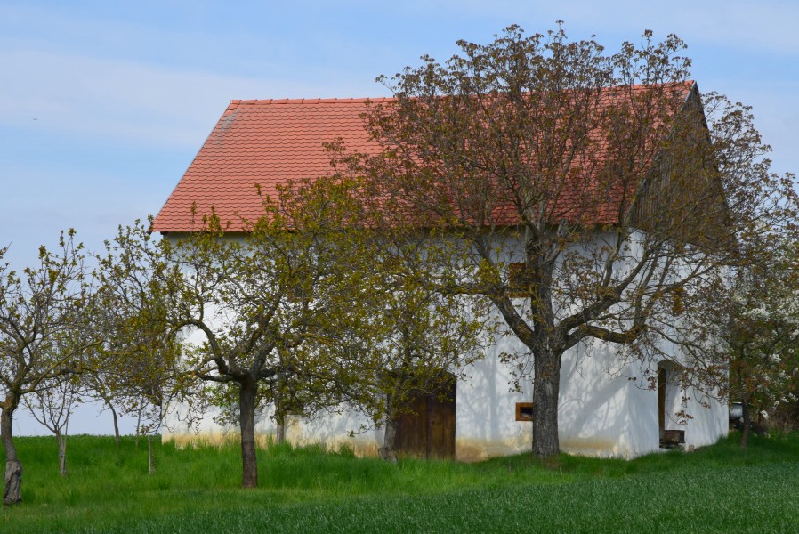 Wartberg Kellergasse Hintaus 21