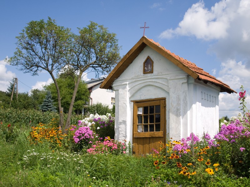 Wikiexpedice, šestý den-087
