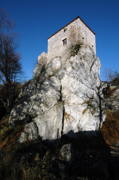 Zamek Bąkowiec w Morsku - ZJ001