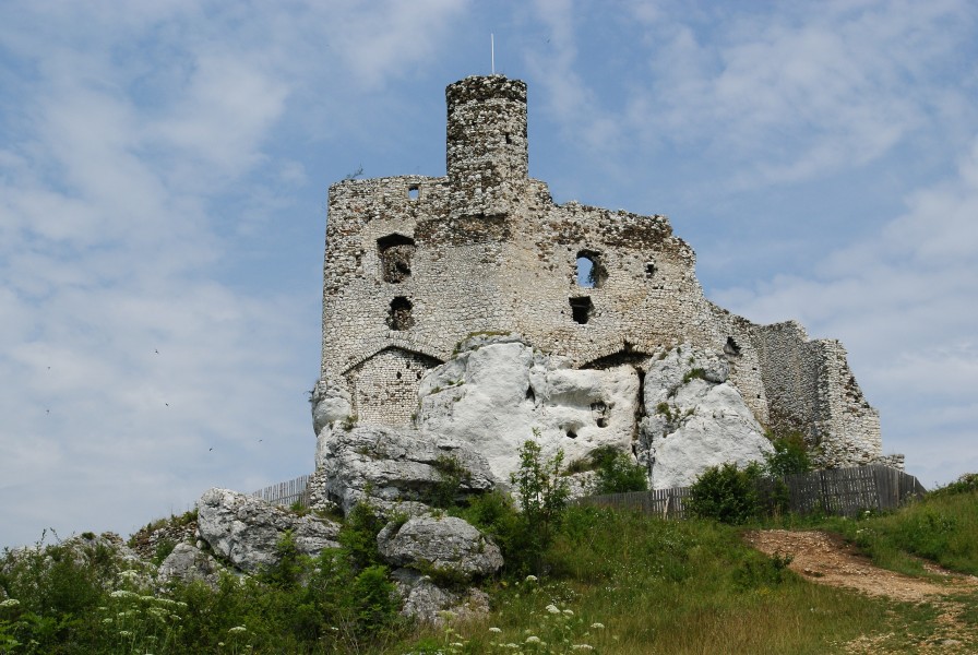 Zamek Mirów.AS.5