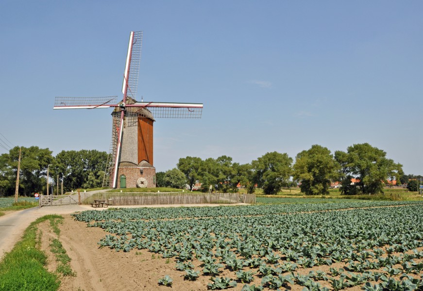 Zarren Wullepitmolen R03