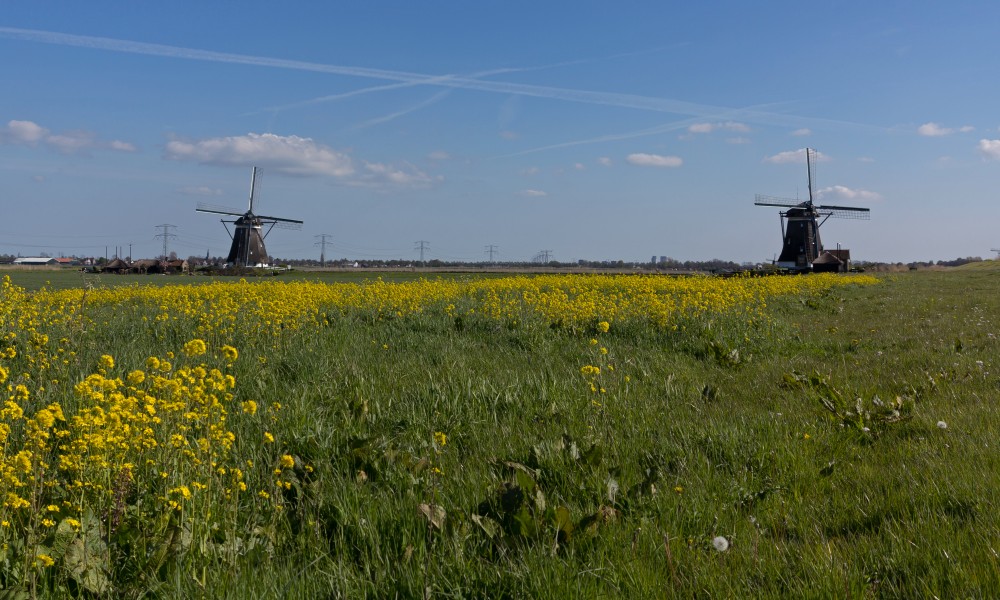 Zevenhuizen, de Tweemanspolder Molen No. 2 RM40458 en No.1 RM40457 foto3 2016-05-01 17.10
