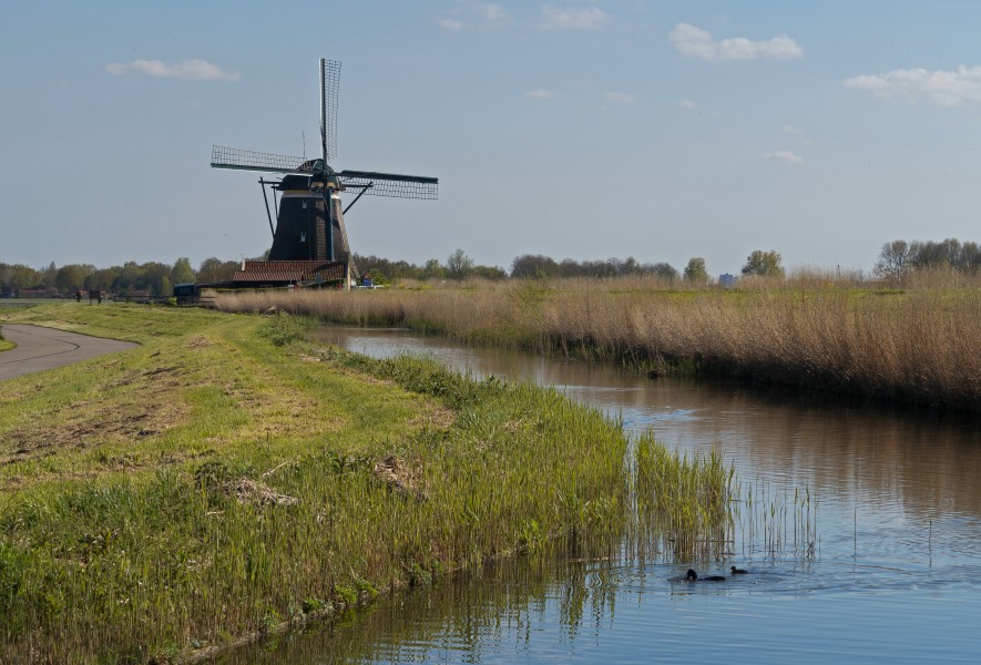 Zevenhuizen, de Tweemanspolder Molen No. 4 RM40456 foto4 2016-05-01 17.20