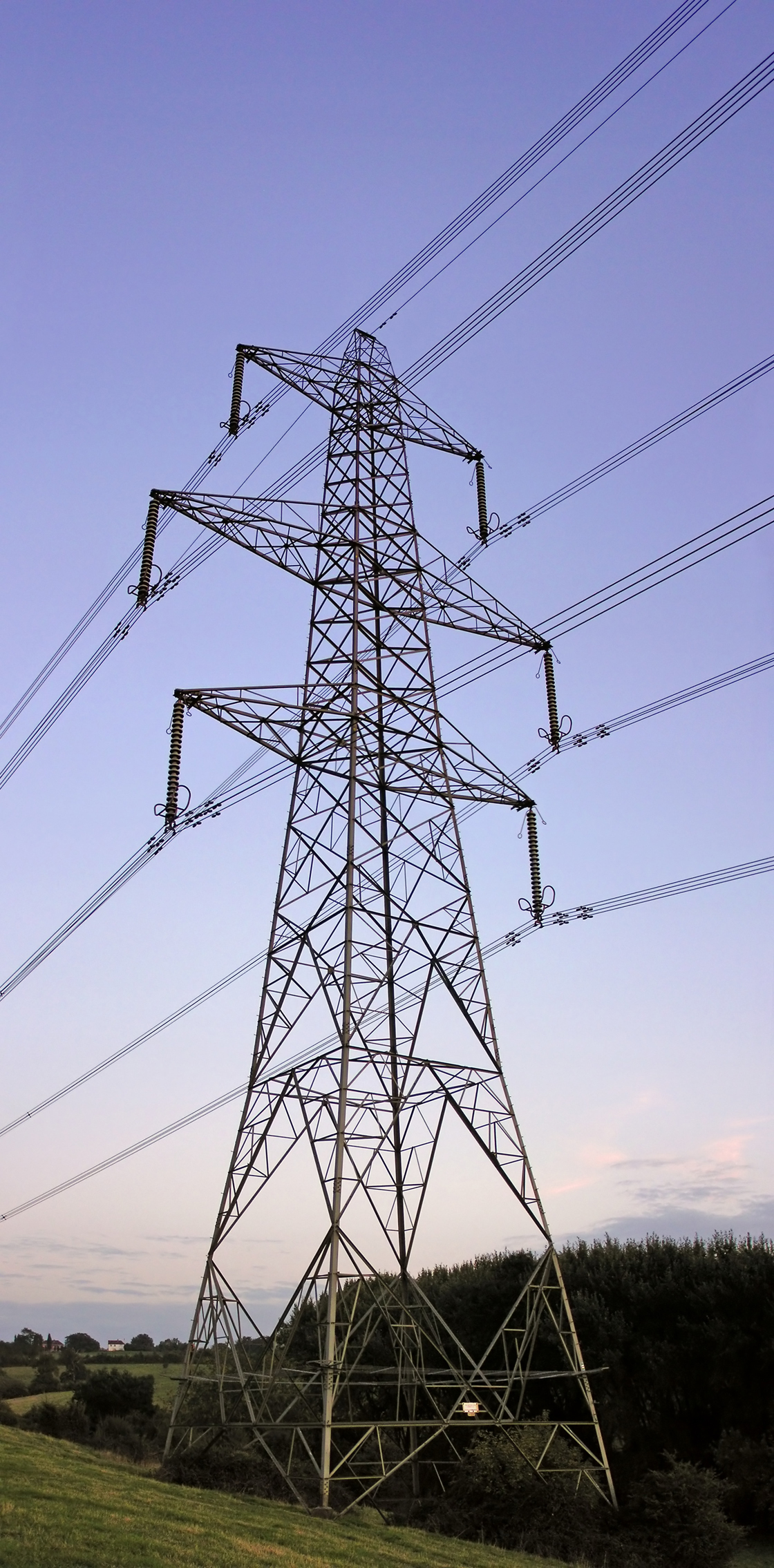 Pylon ds