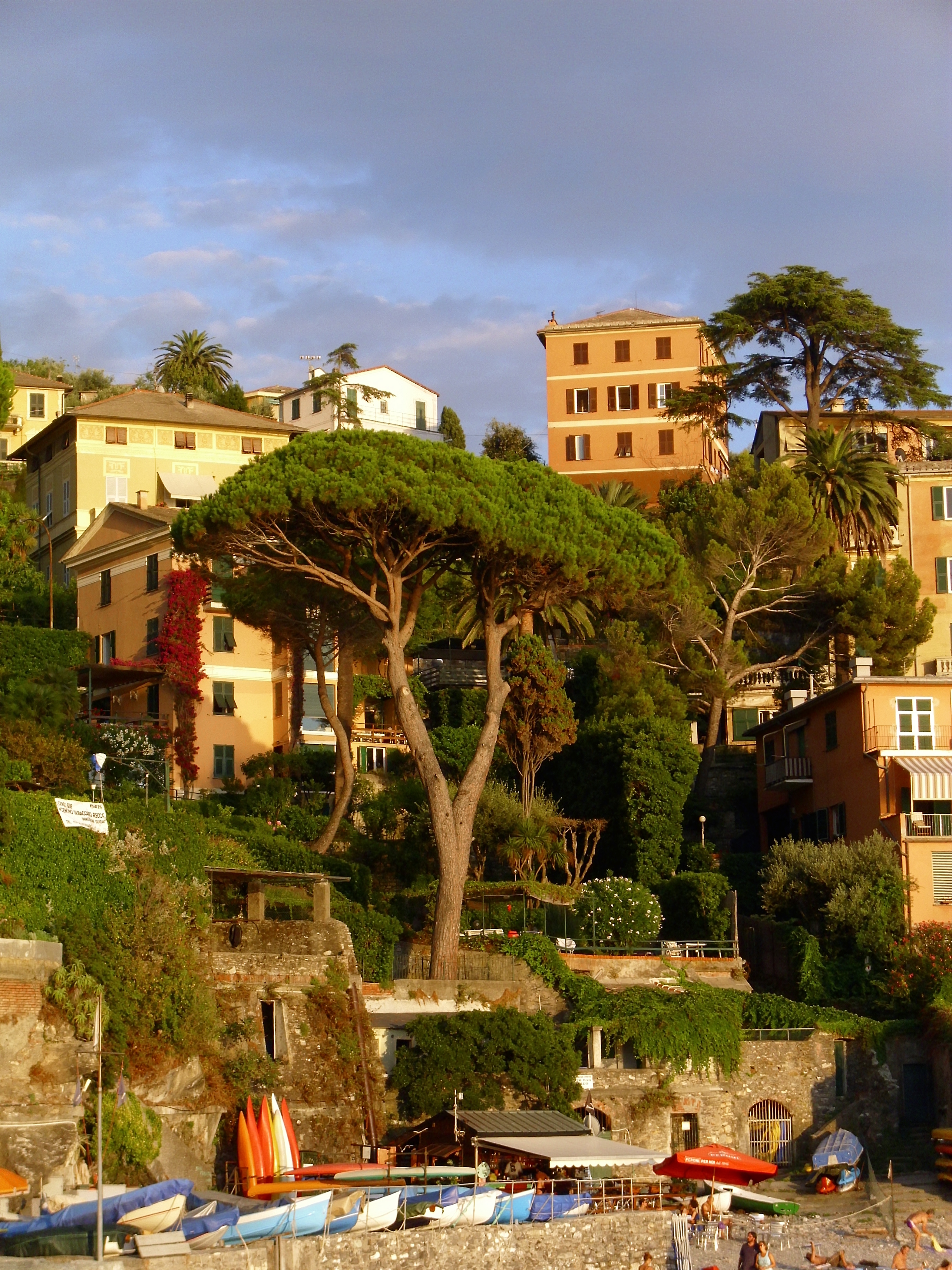 Recco varie 02