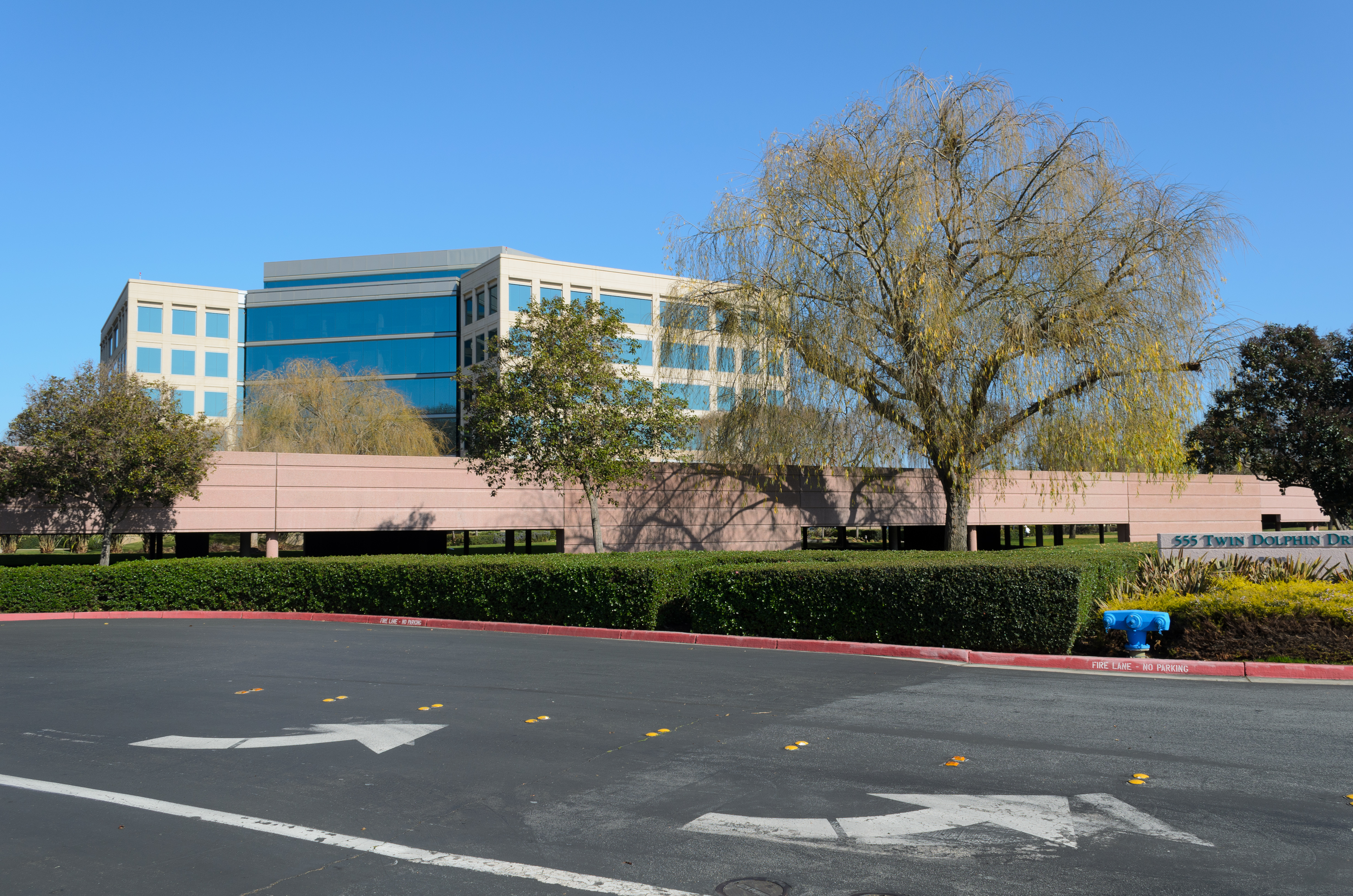 Redwood Shores February 2013 002
