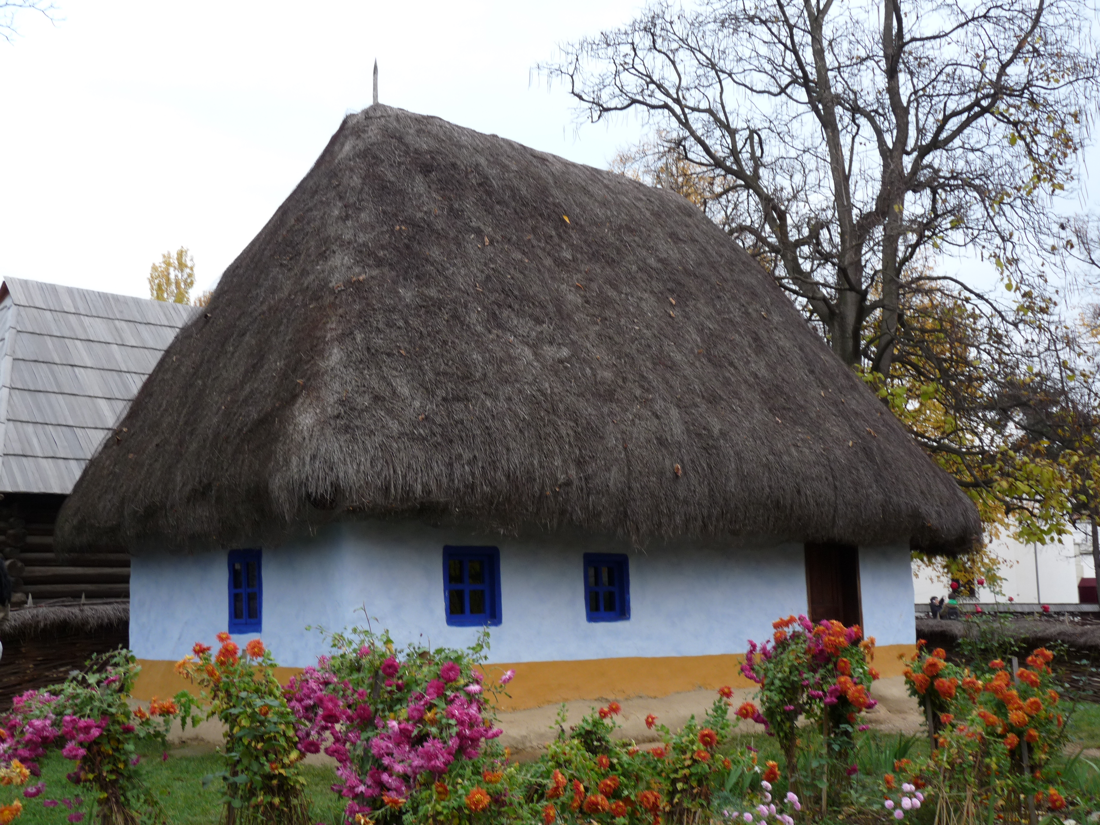 RO B Village Museum Dumitra household house
