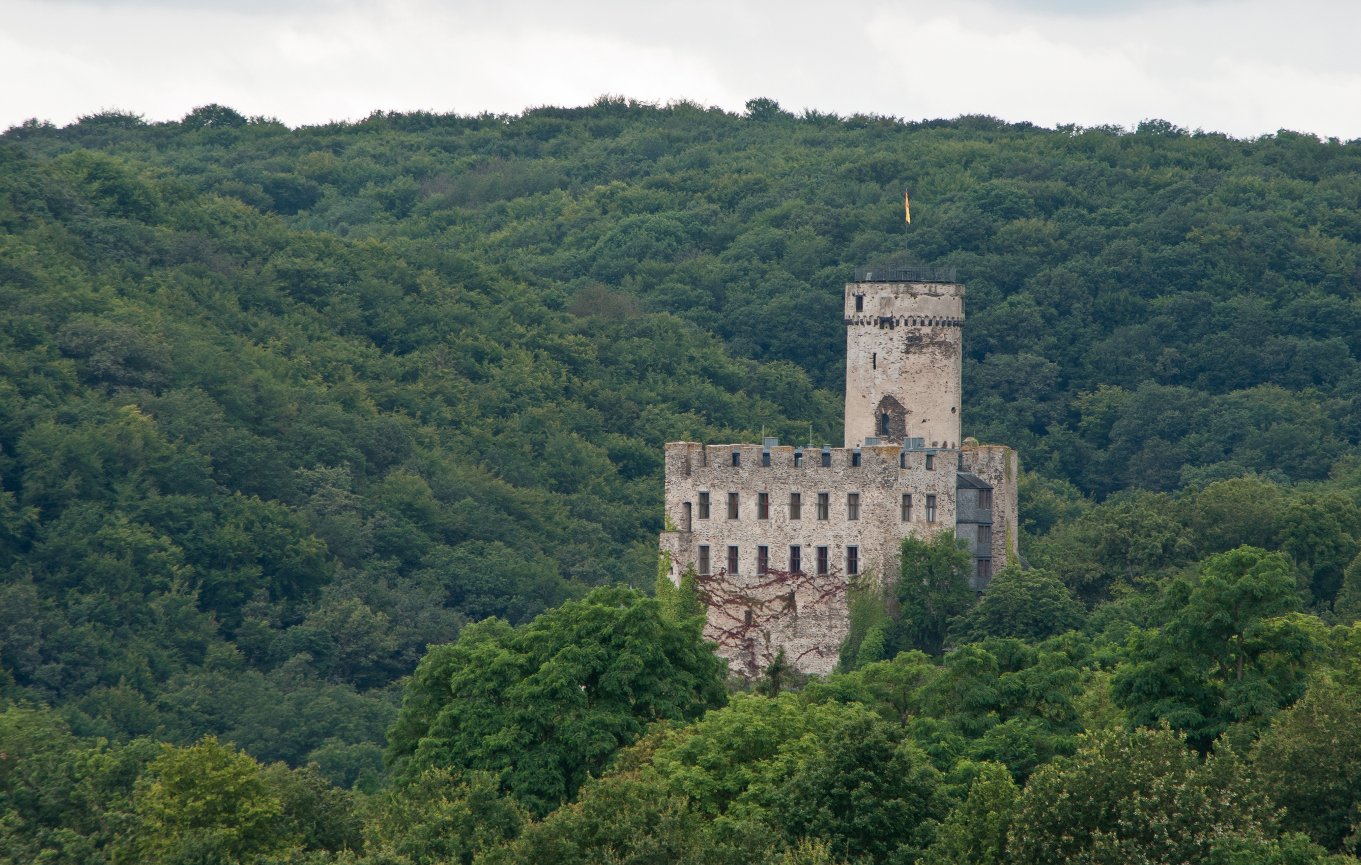 Roes, Burg Pyrmont, 2012-08 CN-02