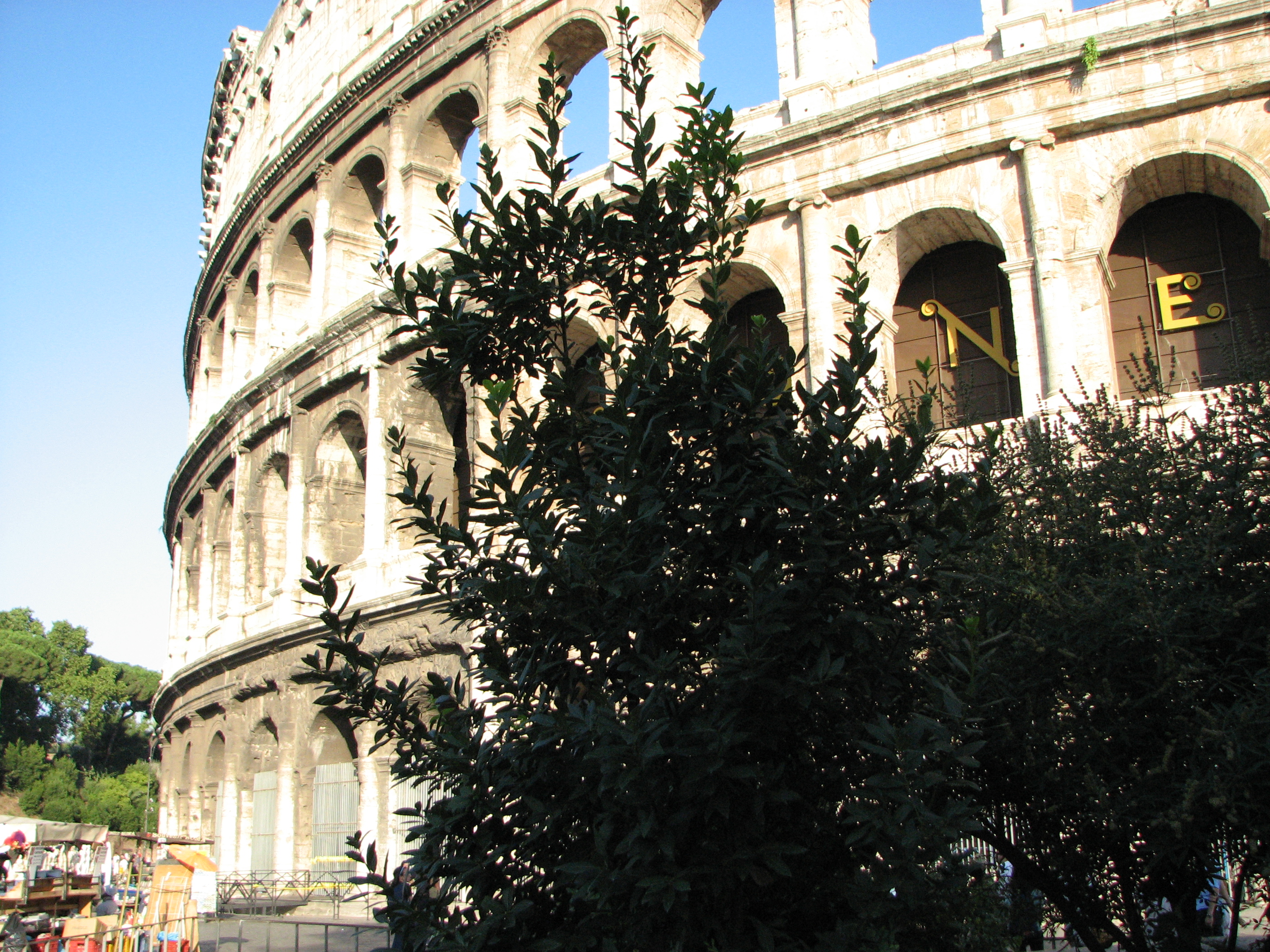Rome