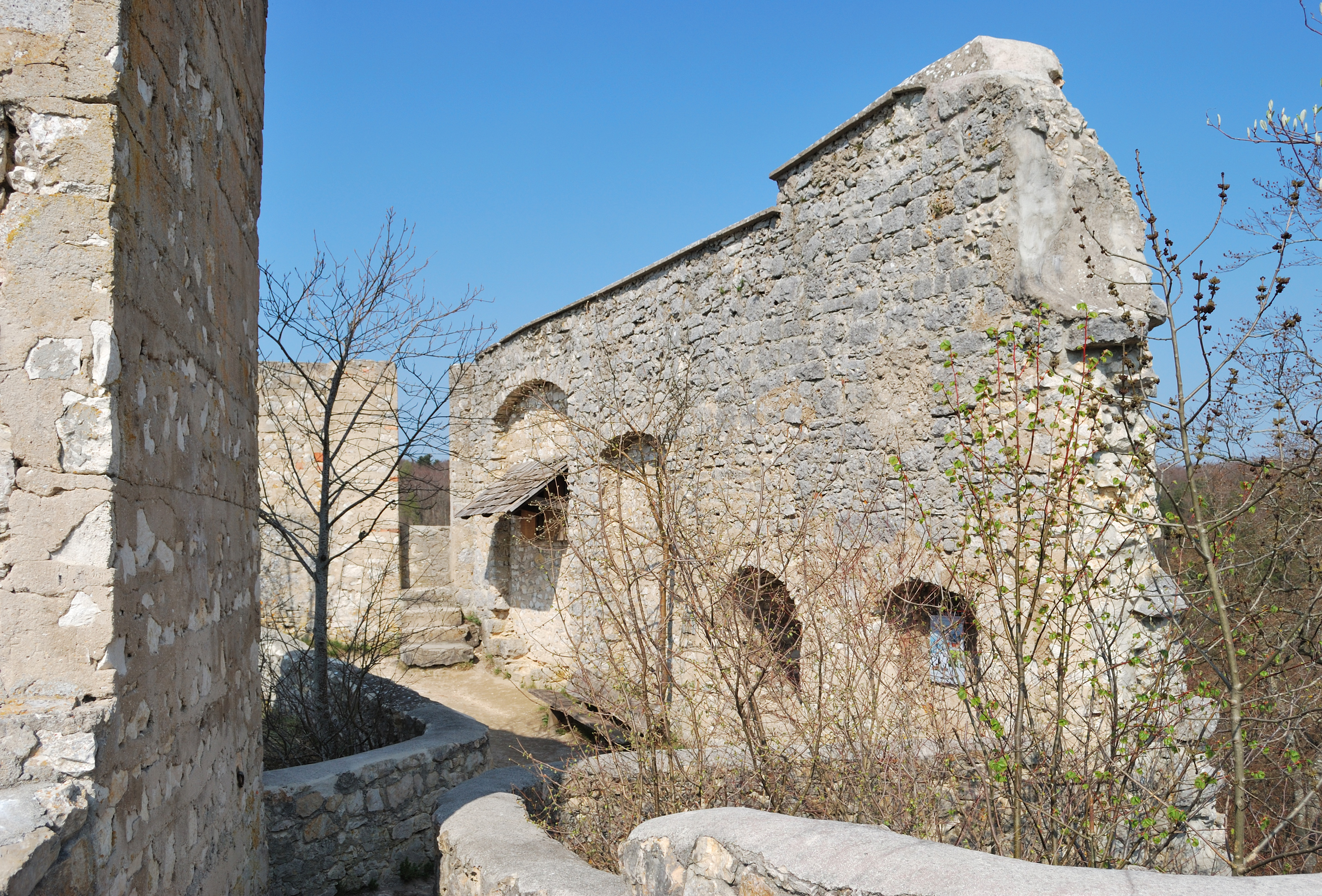 Rusenschloss Burgruine (1)