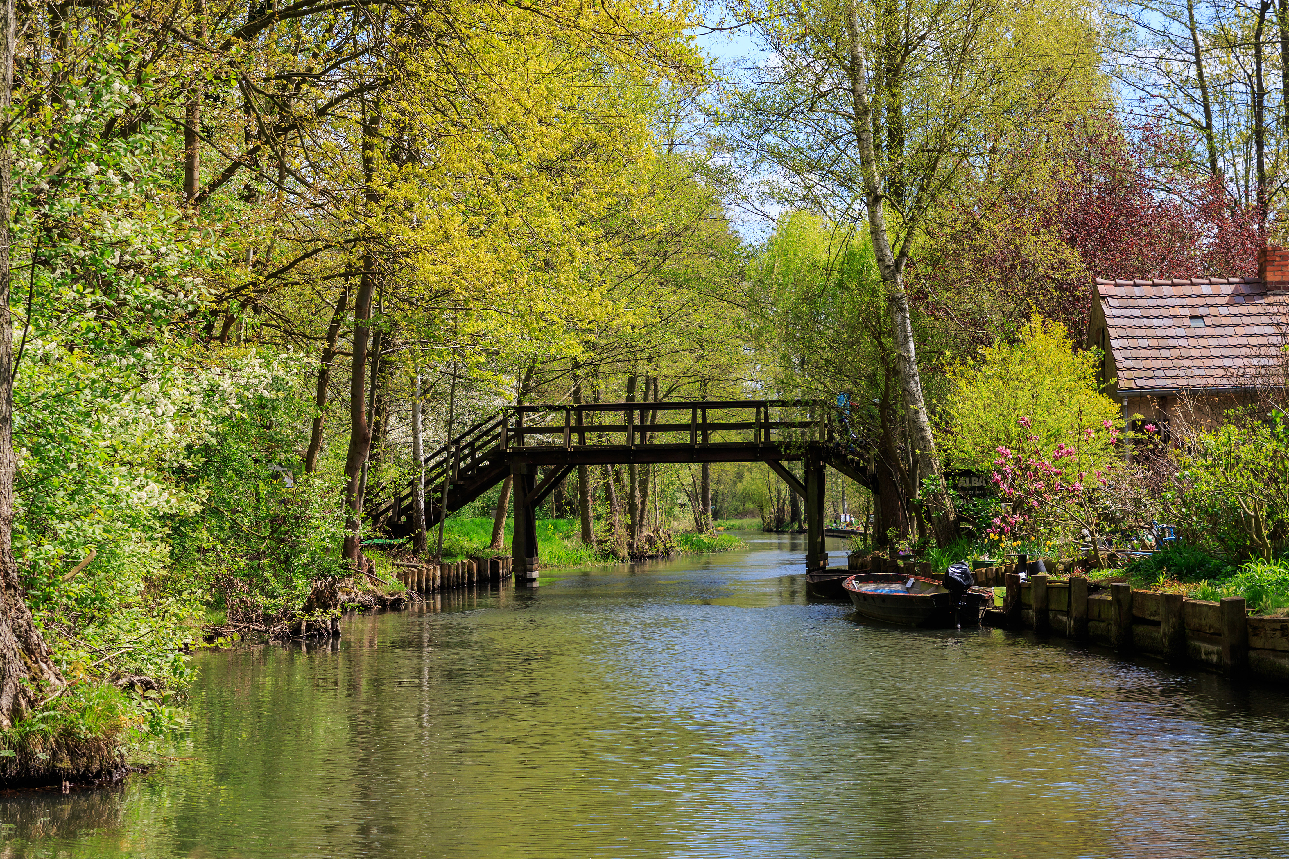 Spreewald 04-2016 img03 canal near Luebbenau