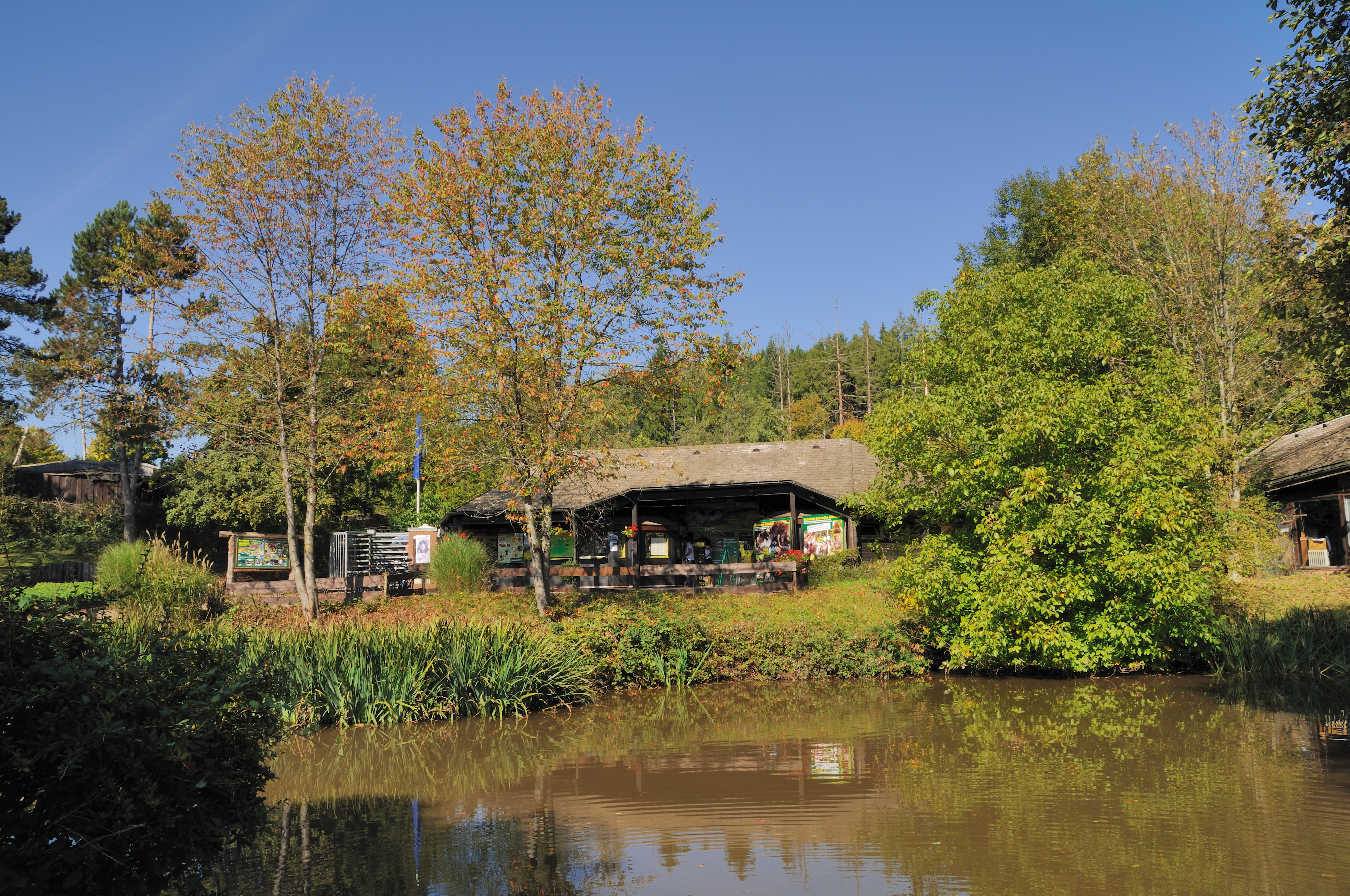Steinen - Vogelpark2