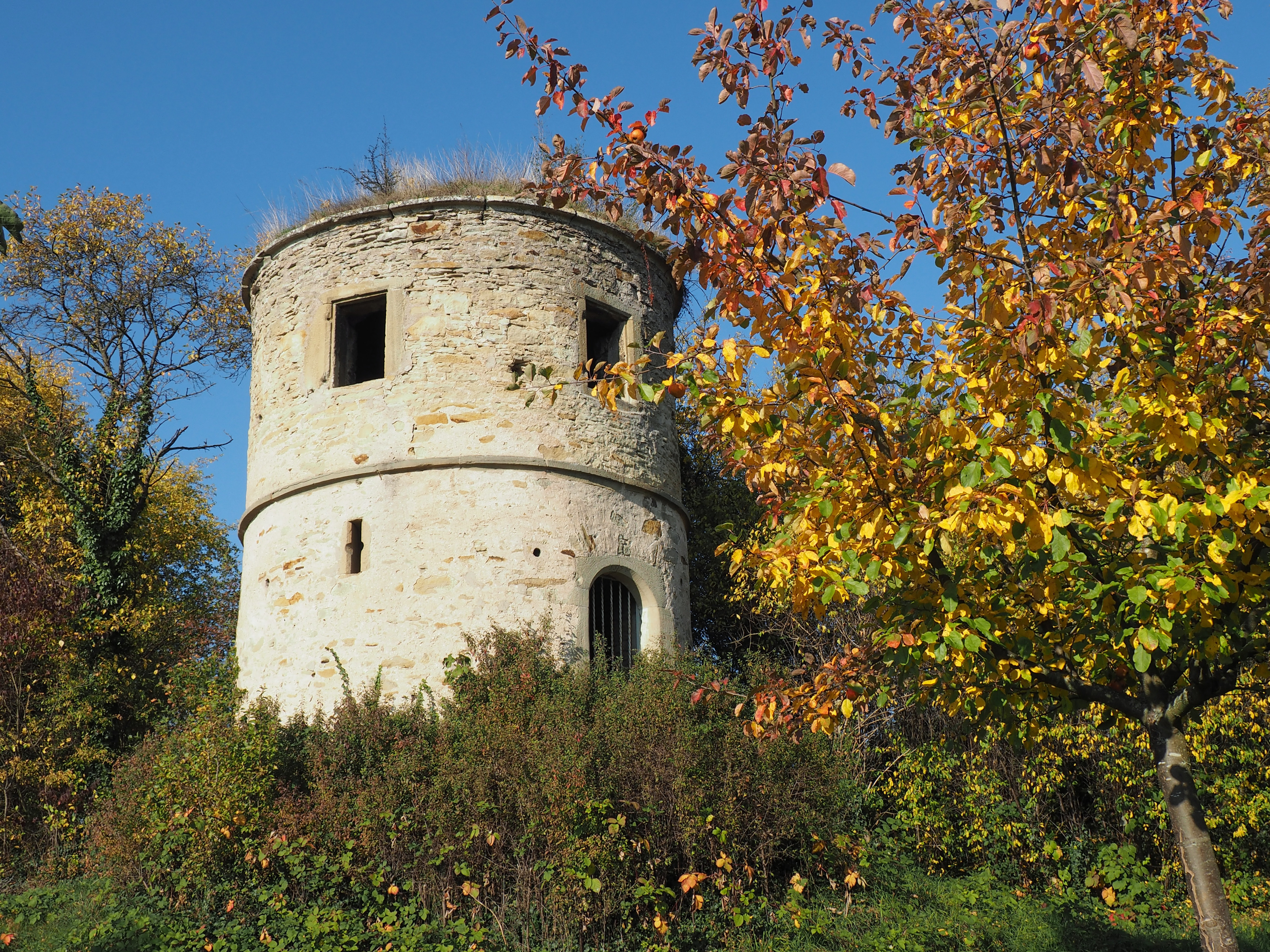 Türmle Untermberg 2015 (2)