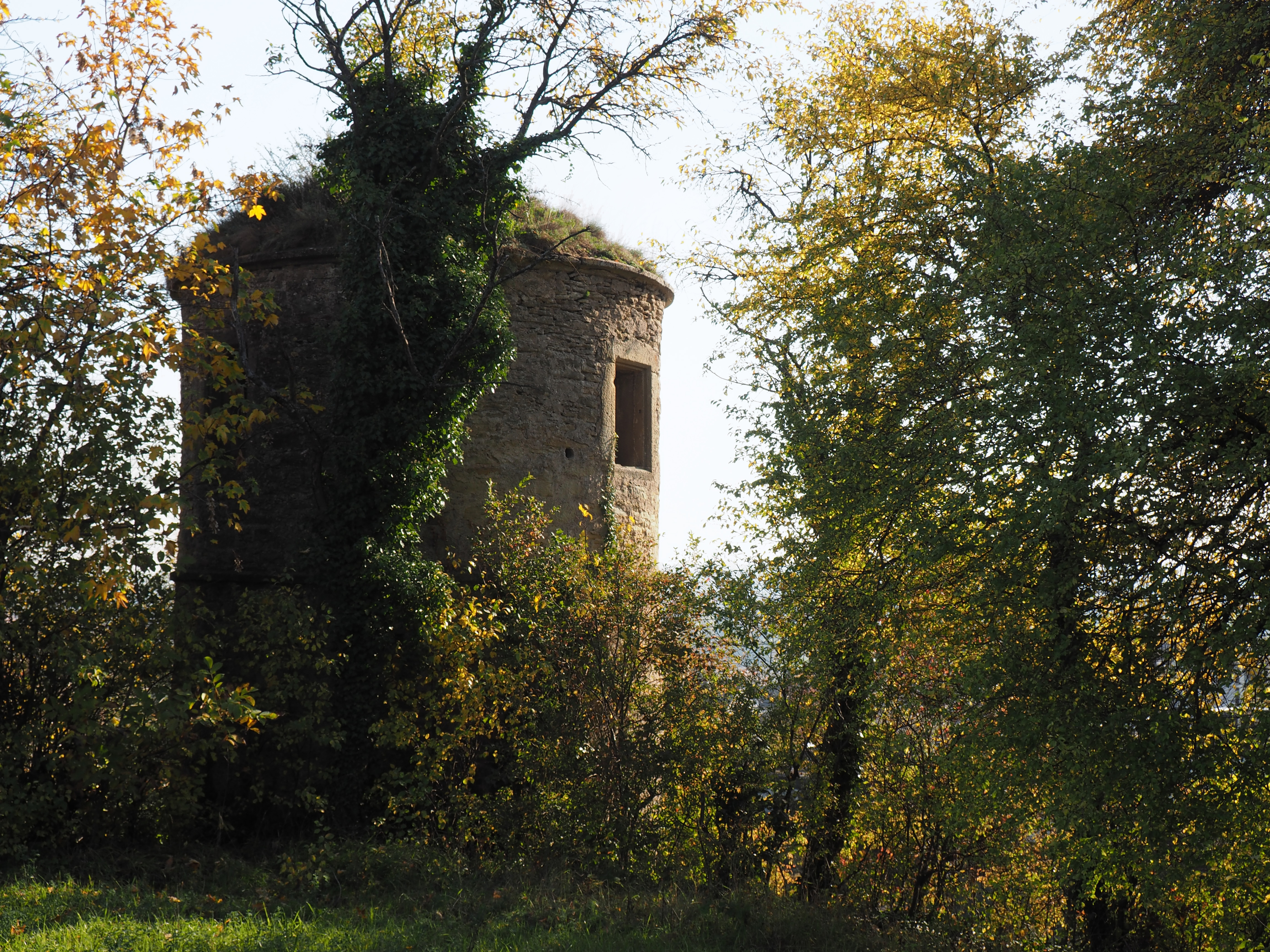 Türmle Untermberg 2015 (4)
