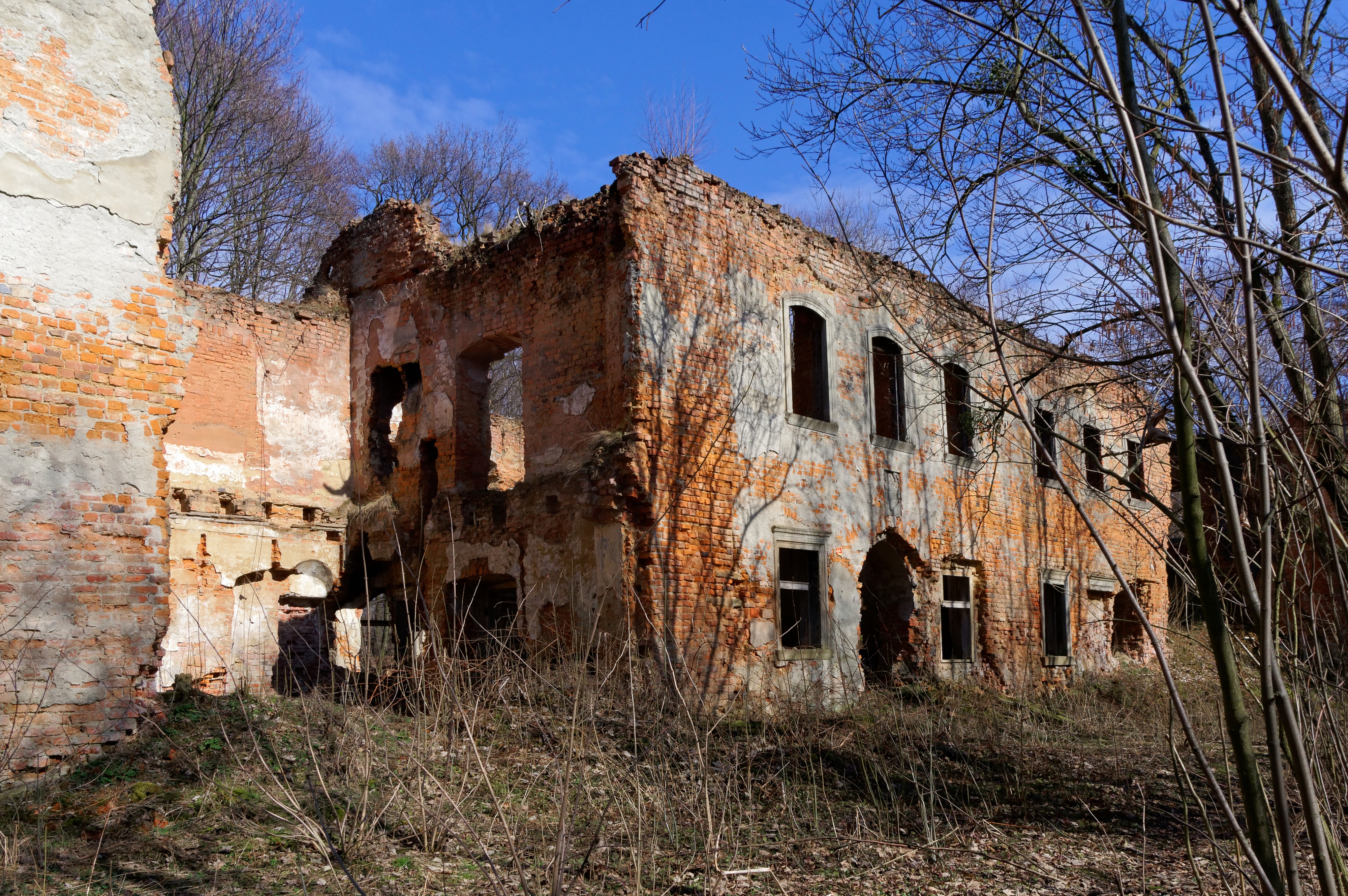 20180311 Pałac w Głębowicach 1088 DxO