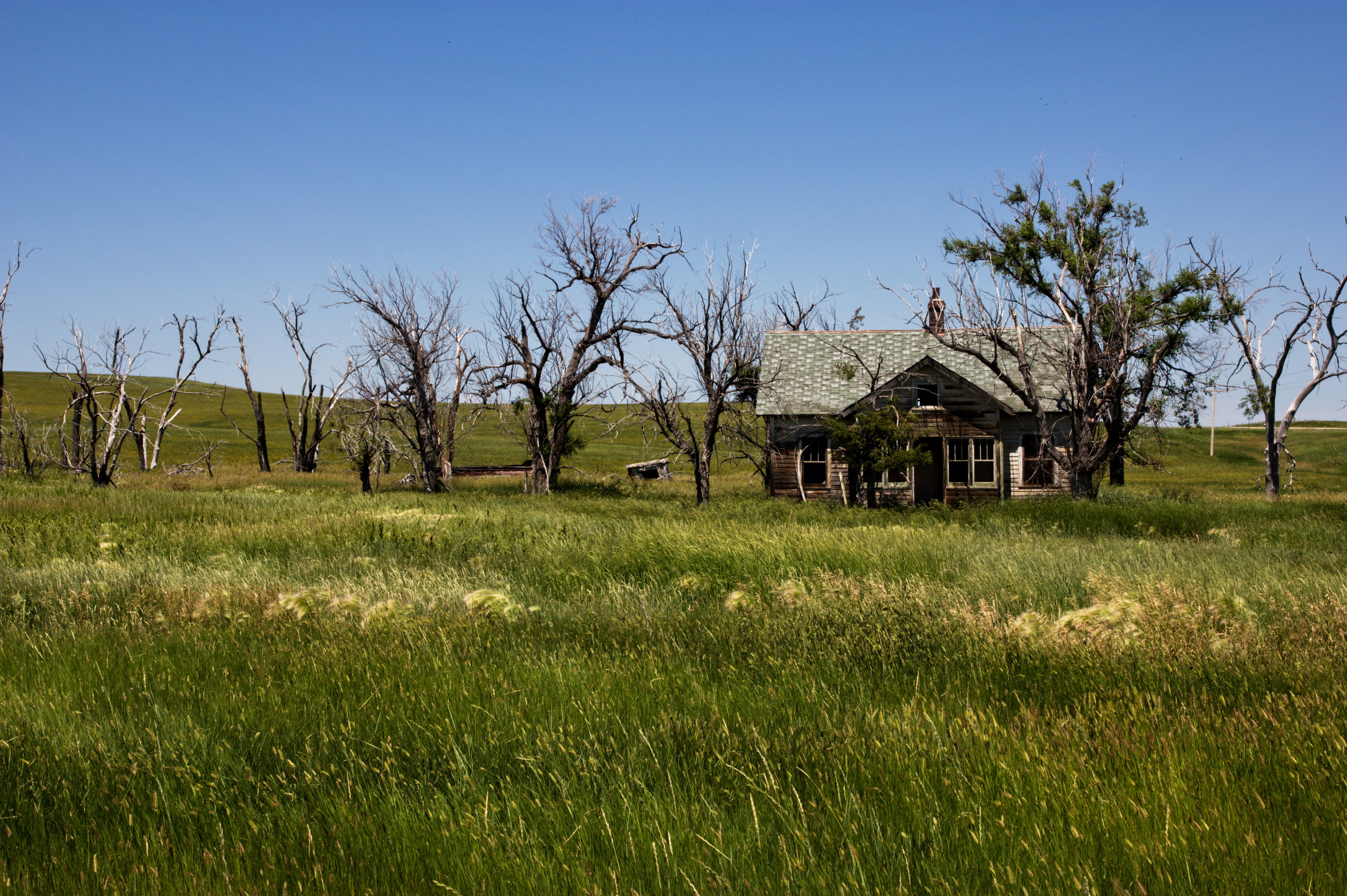 Abandoned Homestead (6005188706)