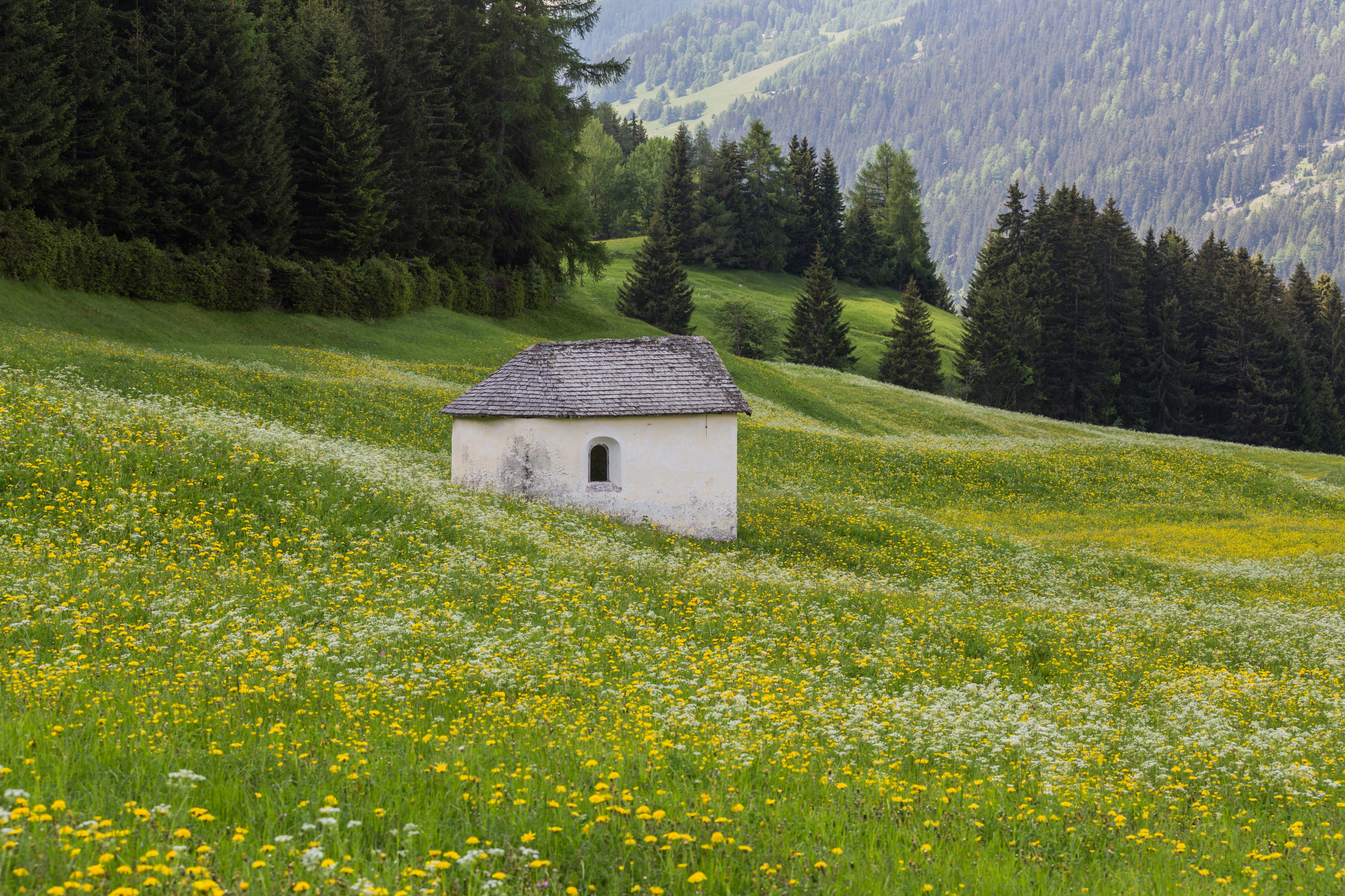 AT 71448 Hofkapelle Kompatsch, Nauders-420
