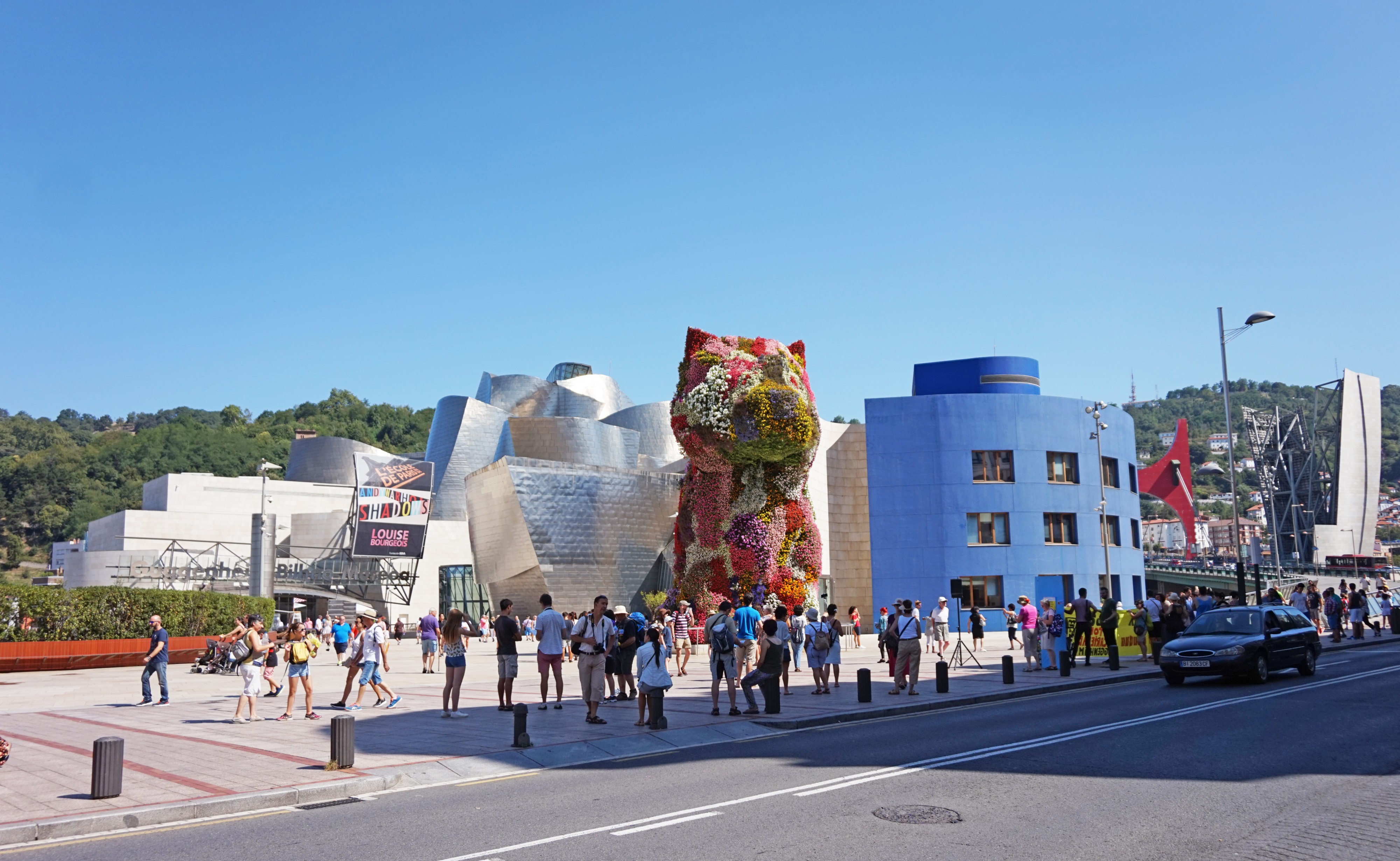 Bilbao Puppy 2