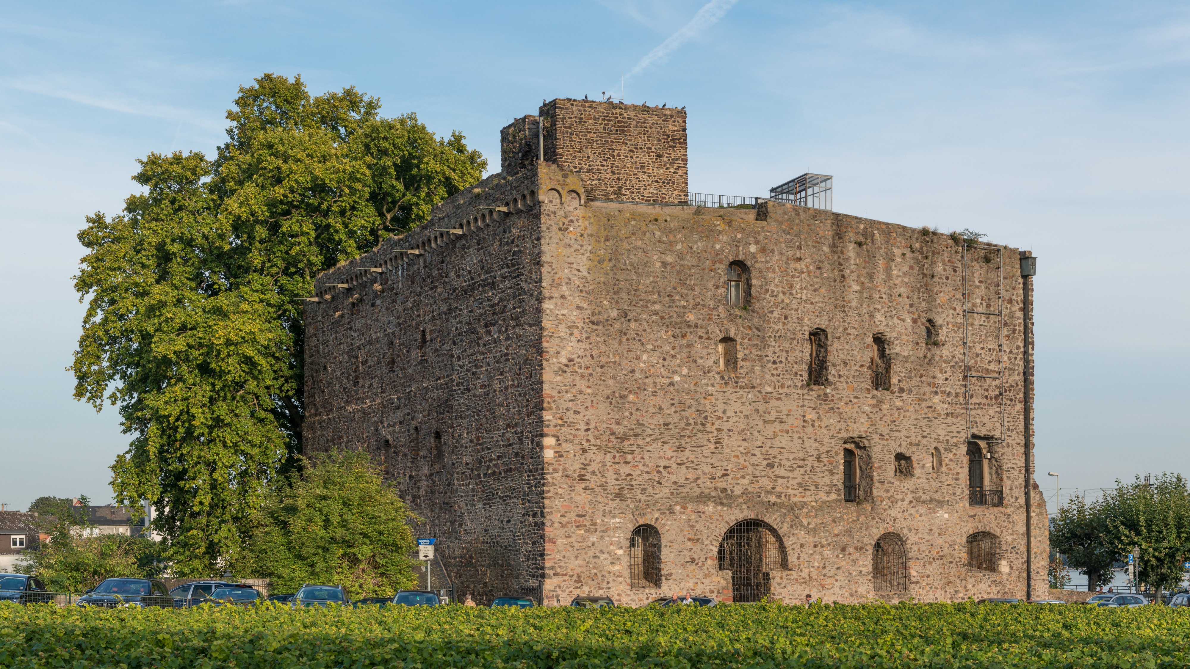 Brömserburg, Rüdesheim, West view 20140928 1