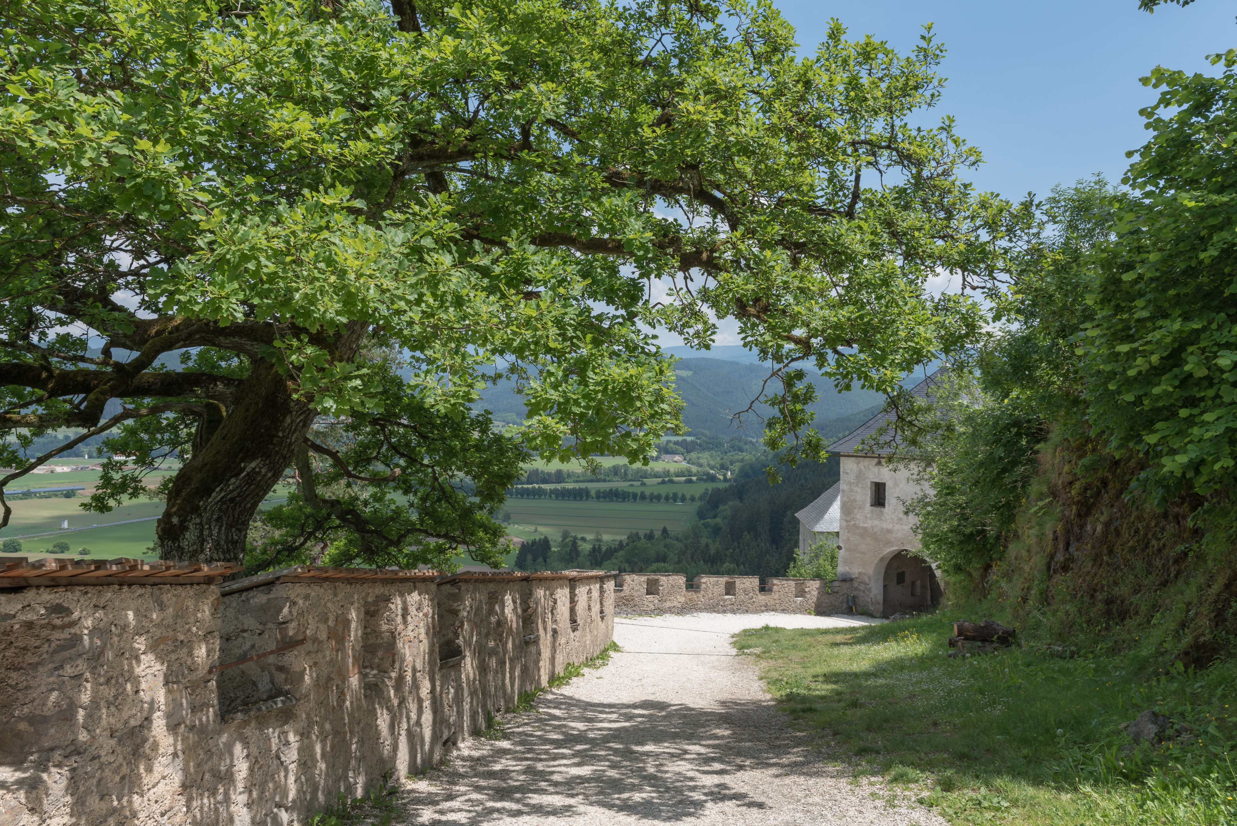 Burg Hochosterwitz 05 Loewentor 01062015 4404