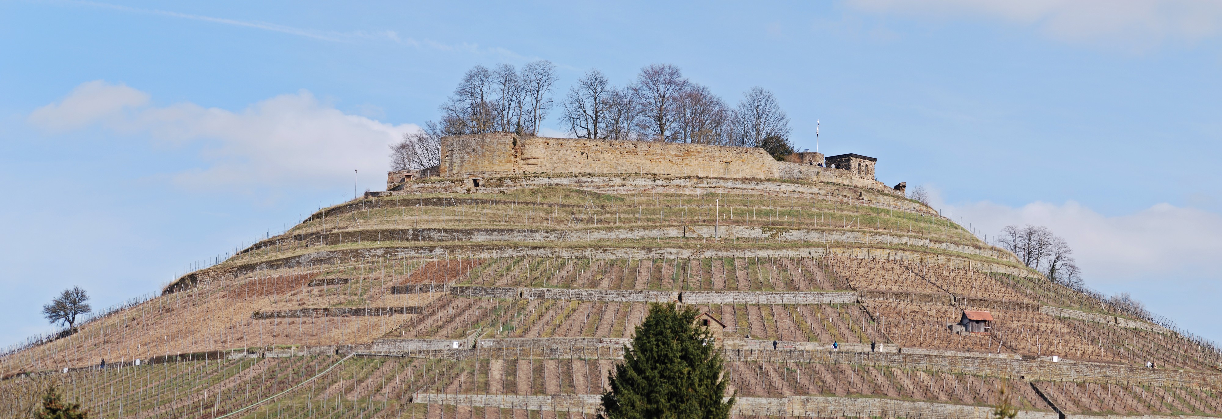 Burgruine Weibertreu 2013