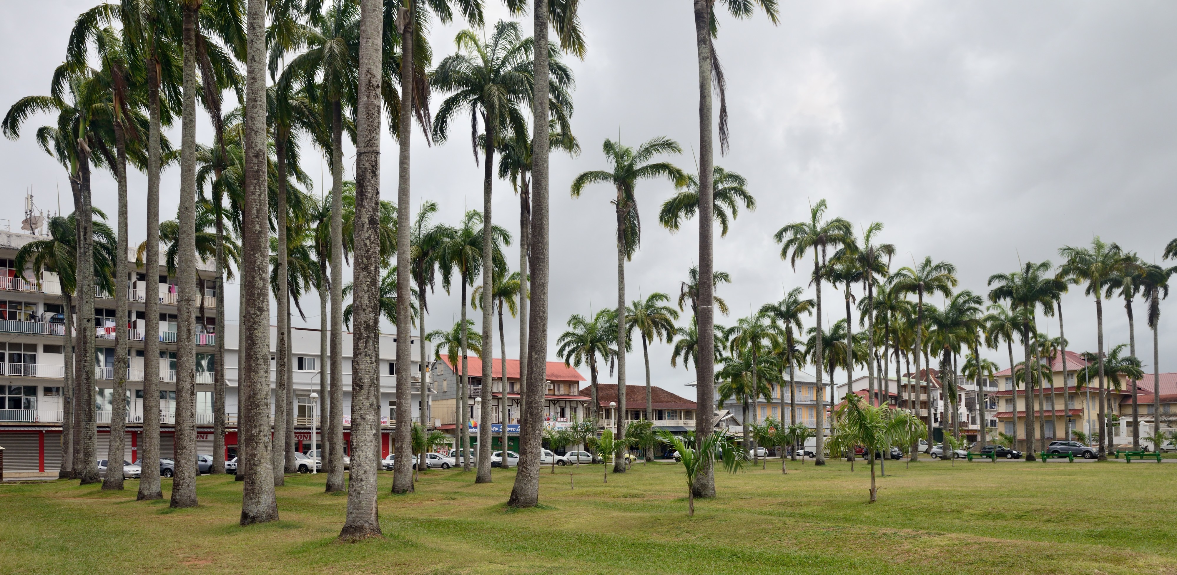 Cayenne place des palmistes 2013