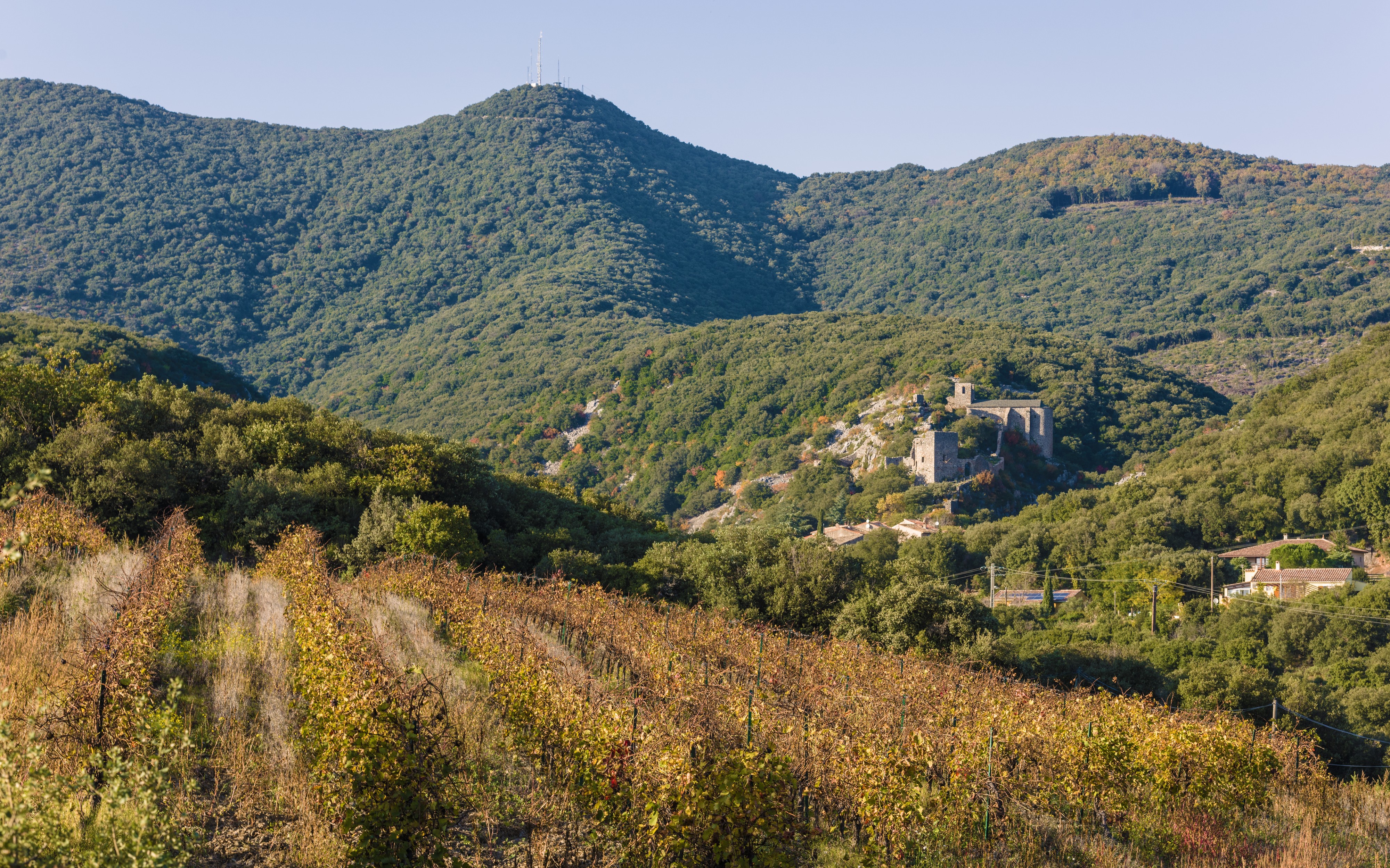 Château de Cabrerolles 02