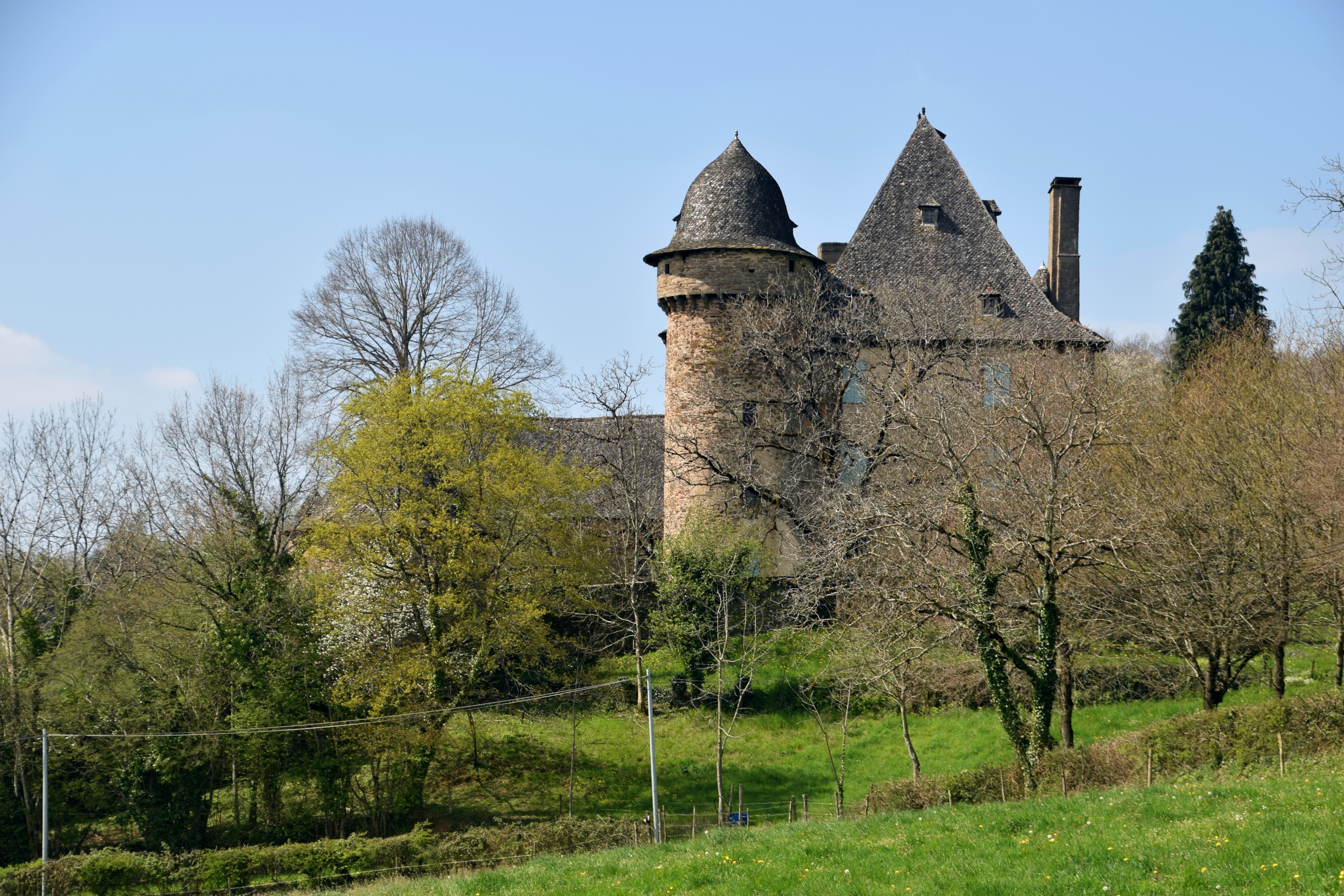 Château de Selves 14