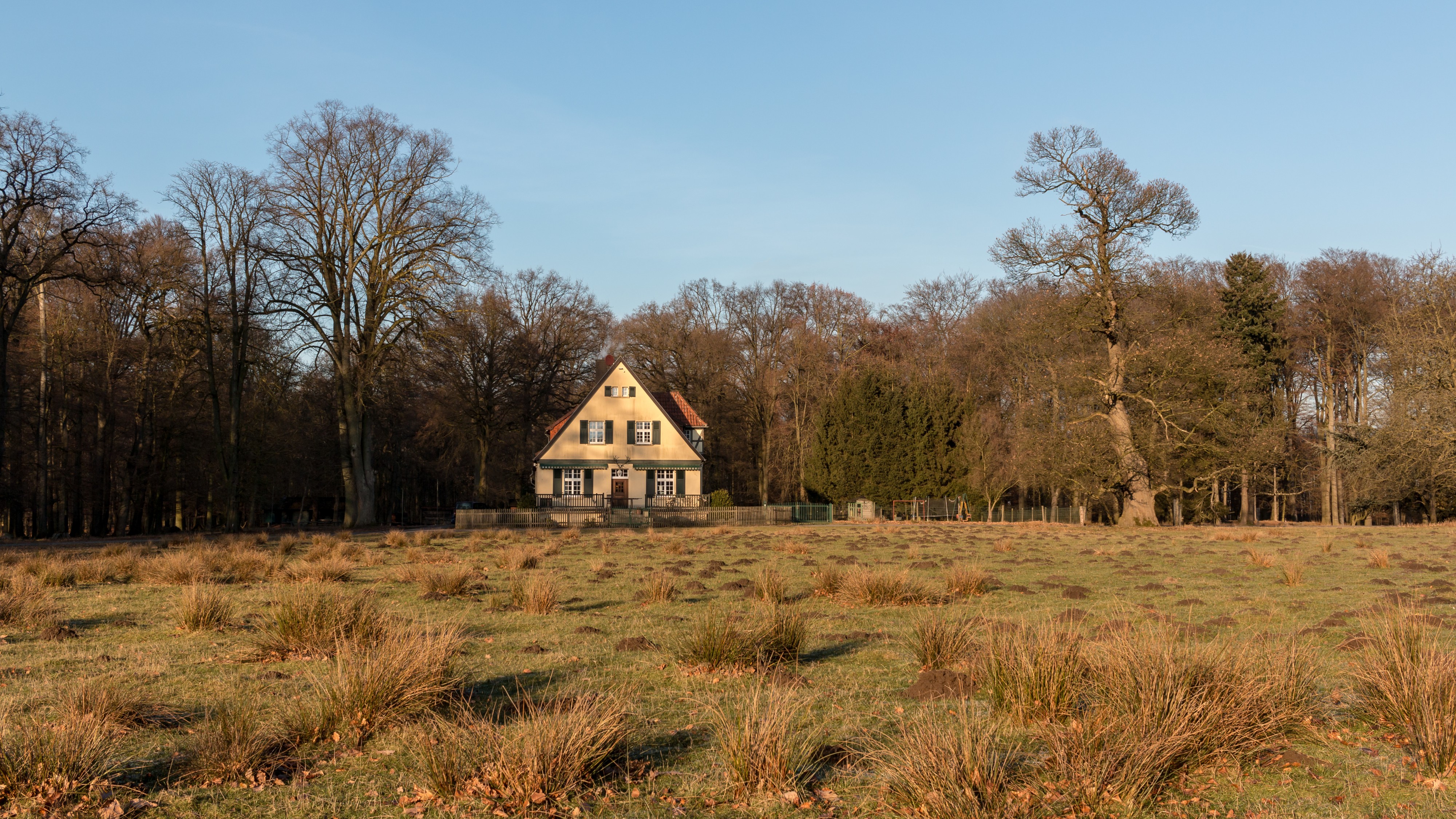 Dülmen, Wildpark -- 2017 -- 6034
